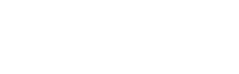 Professional Sprinkler & Irrigation Service